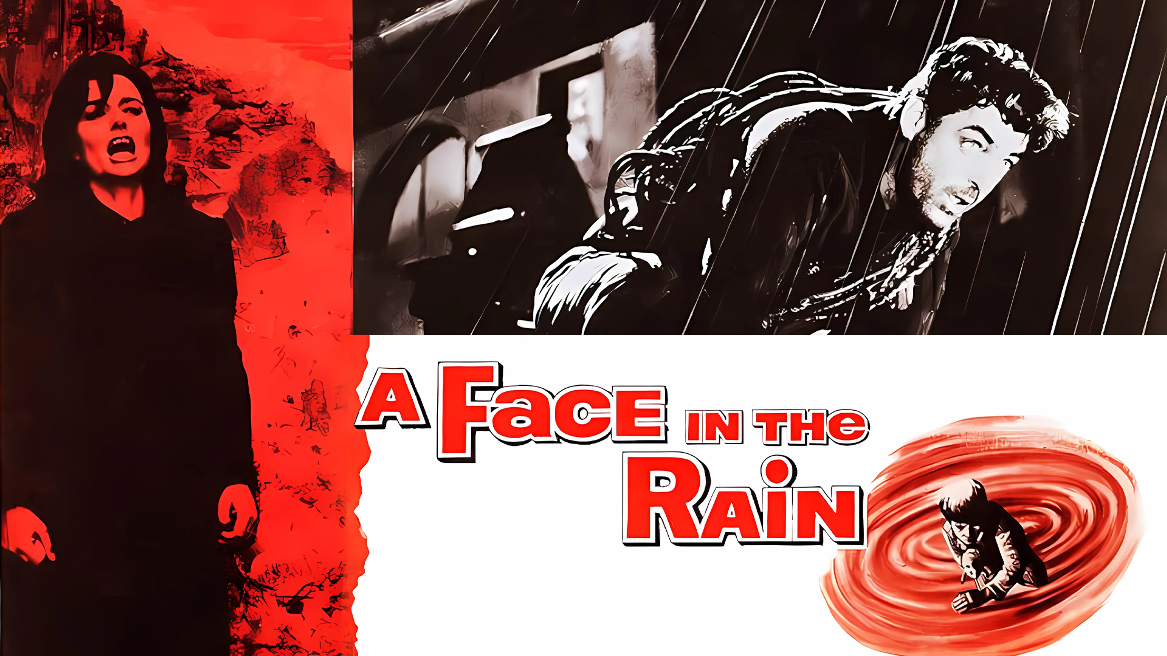 Face in the Rain poster